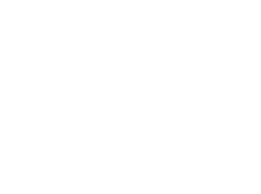 Celebrating 15 Years of Experience